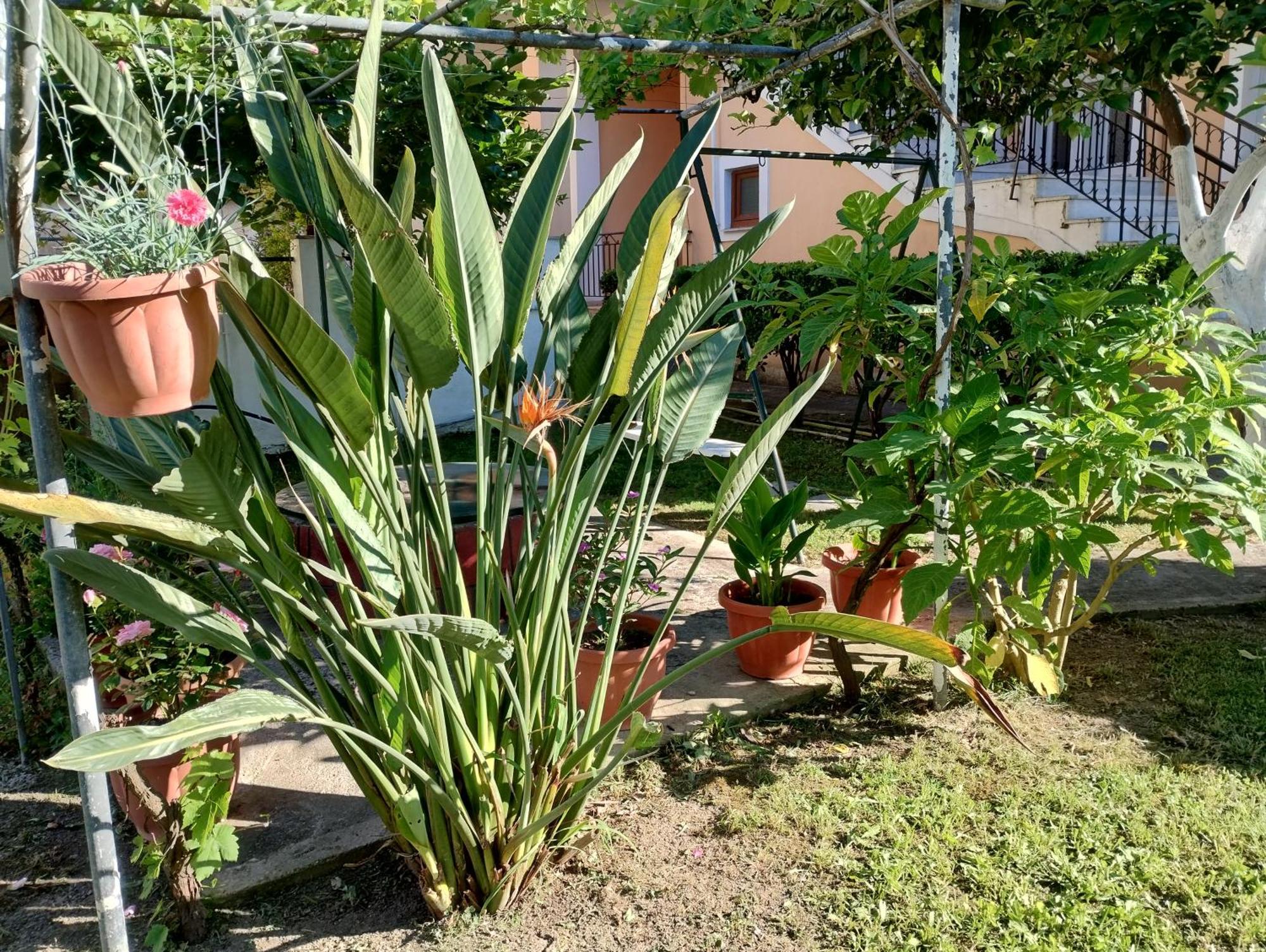 Apartament Nikos 3 *